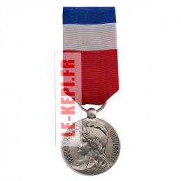 Médaille du travail argent - 20 ans d'ancienneté
