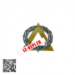 Brevet secouriste Argent avec pins