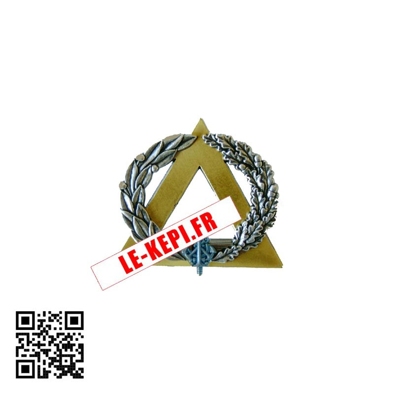 Brevet secouriste Argent avec pins