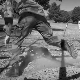 parcours du combattant