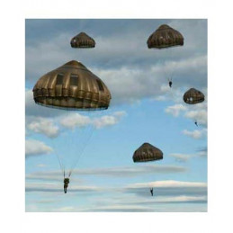 Parachutistes militaires...