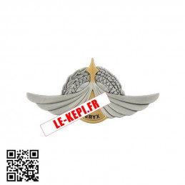 Brevet insigne militaire...