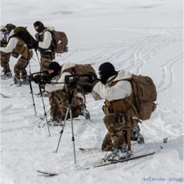 Brevet Montagne aigle bronze étoile bleue