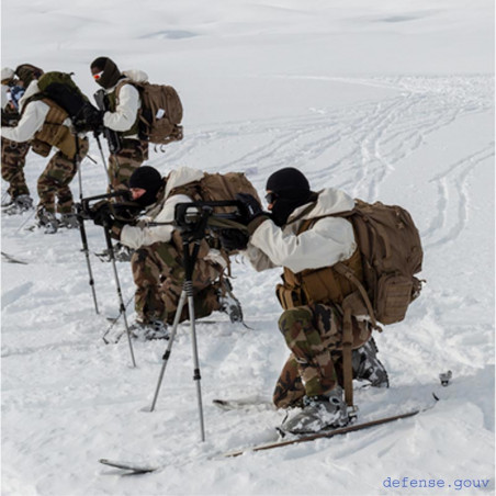 Brevet Montagne aigle bronze étoile bleue