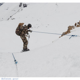 Brevet Montagne aigle argent étoile bleue