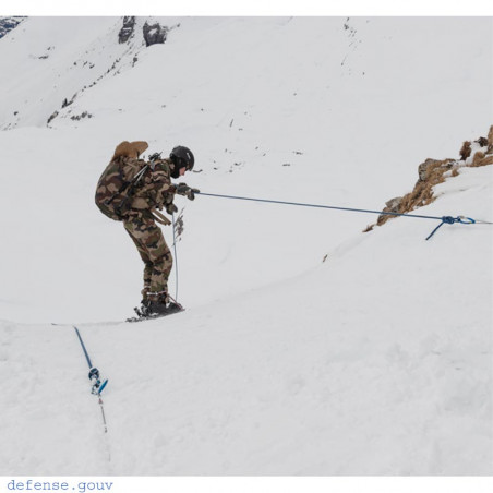 Brevet Montagne aigle argent étoile bleue