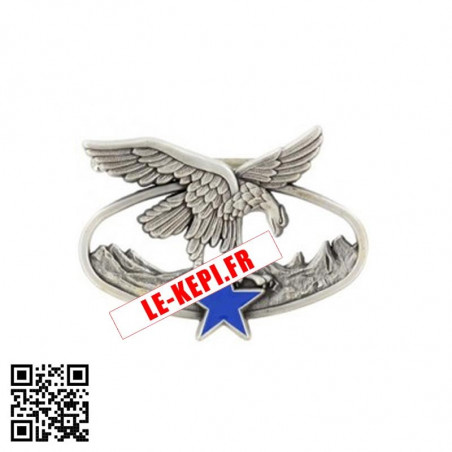 Brevet Montagne aigle argent étoile bleue
