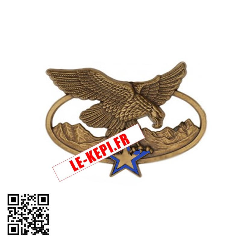 Brevet Montagne aigle Bronze étoile bronze et bleue