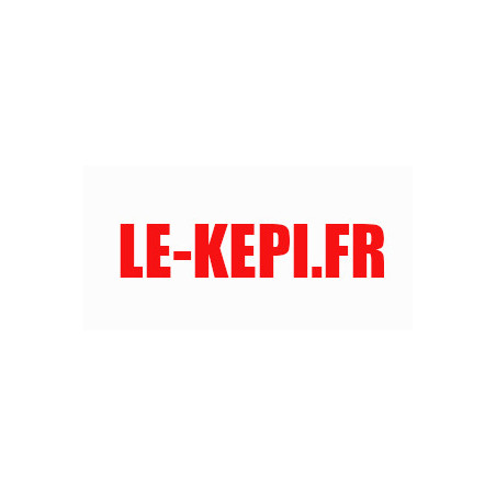 LOGO LEKEPI.fr