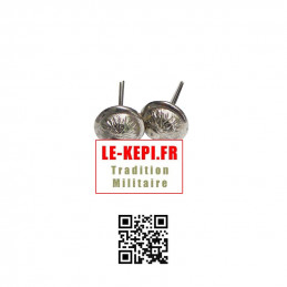 2 boutons à tige Nickelés pour képi Gendarmerie Départementale