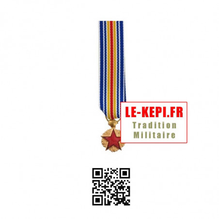 Médaille Réduction des blessés de guerre