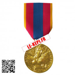 Médaille Ordonnance Défense Nationale Or Agrafe en option