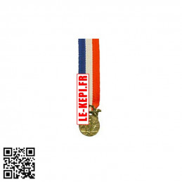Médaille Réduction Courage bronze