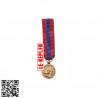 Médaille Réduction Défense Nationale Bronze