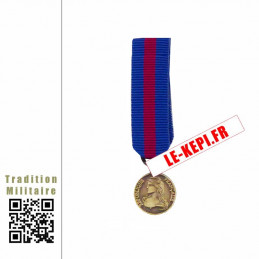 Médaille Bronze réduction Réserviste Volontaire Défense et Sécurité Intérieure