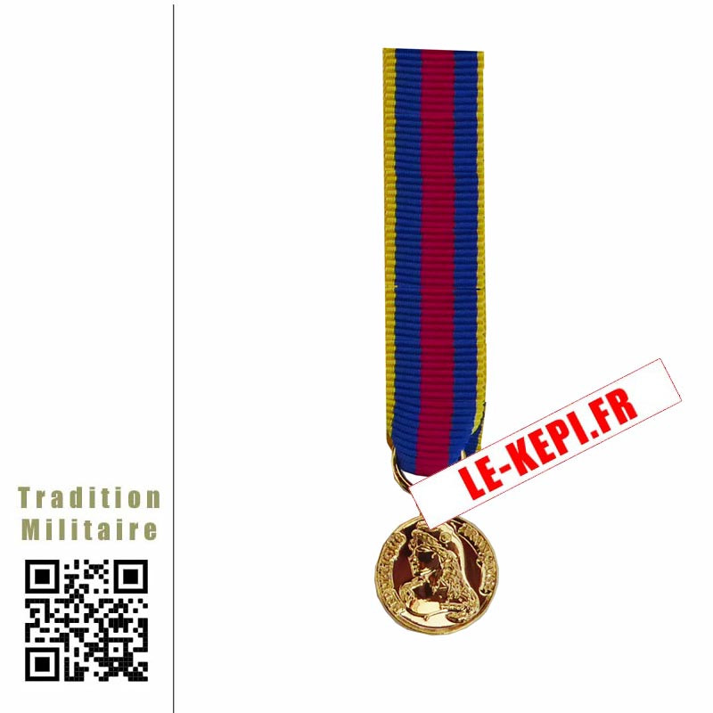 Médaille Or réduction Réserviste Volontaire Défense et Sécurité Intérieure
