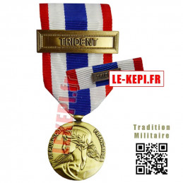Médaille avec sa barrette Protection Militaire du Territoire agrafe TRIDENT