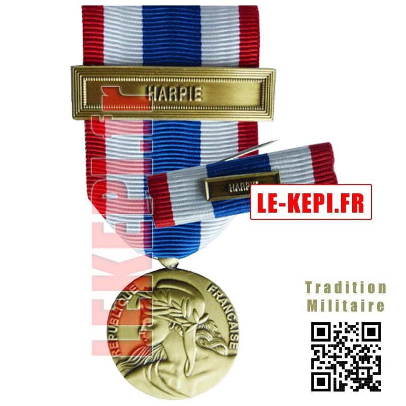 Médaille et barrette Protection Militaire du Territoire agrafe HARPIE