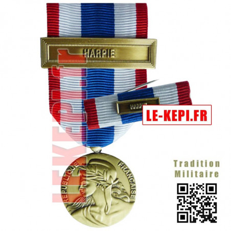 Médaille de la protection militaire du territoire sous blister