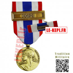 Médaille et barrette Protection Militaire du Territoire agrafe EGIDE