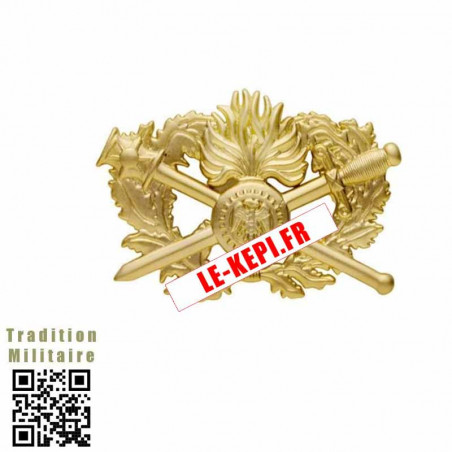 Insigne CSTAGN 2e niveau