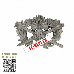 Insigne CSTAGN 1er niveau argent