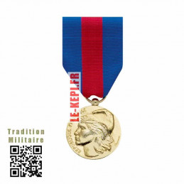 Service Militaire Volontaire Bronze Médaille Ordonnance