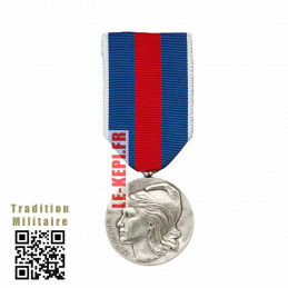 Service Militaire Volontaire Argent Médaille Ordonnance - SMV