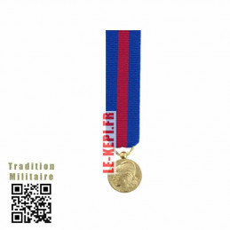 Service Militaire Volontaire Bronze Médaille Réduction - SMV