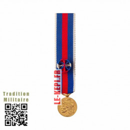 Service Militaire Volontaire Or Médaille Réduction - SMV