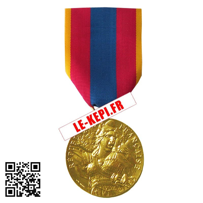 Médaille Ordonnance Défense Nationale Or Option AGRAFE