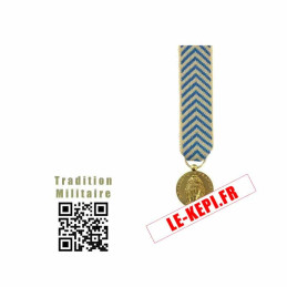 Médaille Reconnaissance de la Nation Réduction