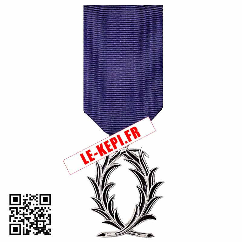 Médaille palmes academiques chevalier ordonnance