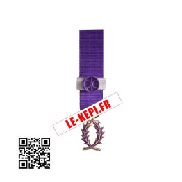 Médaille PALMES ACADEMIQUES COMMANDEUR modèle Réduction