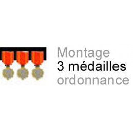 Montage de 3 médailles ordonnance cousu sur drap noir