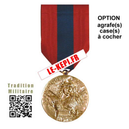 édaille Ordonnance Défense Nationale Bronze Option AGRAFE