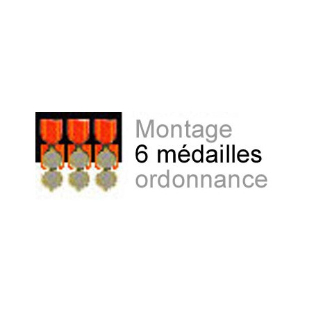 Montage de 6 médailles ordonnance cousu sur drap noir