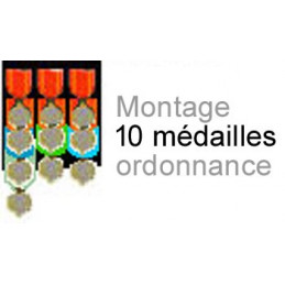 Montage de 10 médailles ordonnance cousu sur drap noir