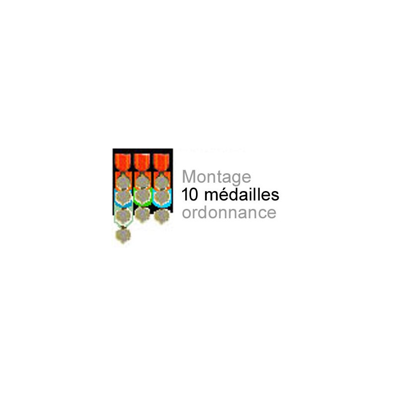 Montage de 10 médailles ordonnance cousu sur drap noir