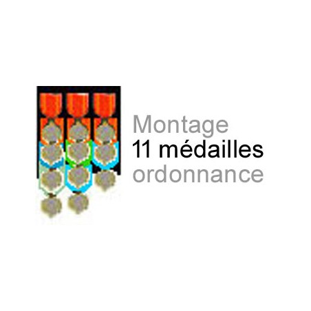 Montage de 11 médailles ordonnance cousu sur drap noir