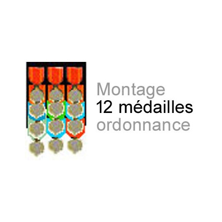 Montage de 12 médailles ordonnance cousu sur drap noir