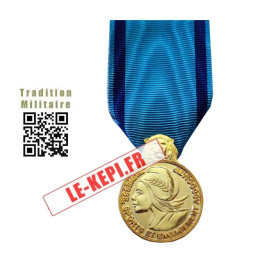 Médaille Jeunesse et Sports Bronze ordonnance