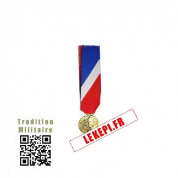 Médaille Réduction MSI Bronze médaille sécurité intérieur