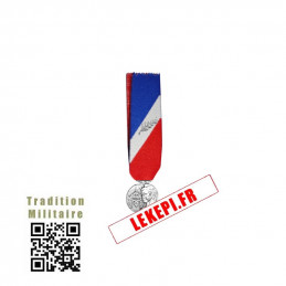 Médaille Réduction MSI Argent médaille sécurité intérieur