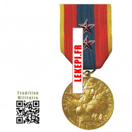 Médaille Ordonnance DEFENSE NATIONALE OR 2 ETOILES BRONZE