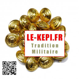 Lot de boutons Garde Républicaine pour gilet d'arme 15 boutons