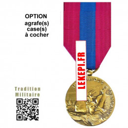 Médaille Ordonnance Défense Nationale Bronze Option AGRAFE