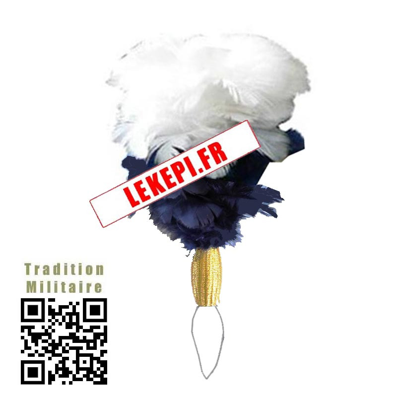 PLUMET BLEU ET BLANC POUR SHAKO TACONNET ECOLE DE GENDARMERIE DE MELUN