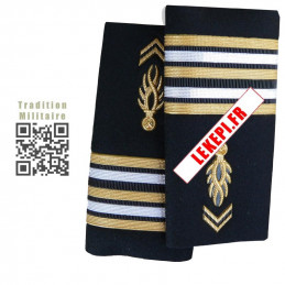 Fourreaux Rigides Gendarmerie Mobile Lieutenant-Colonel