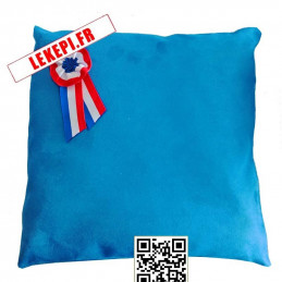 Coussin velours bleu pour remise de médailles avec cocarde tricolore
